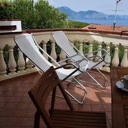 Homebiagino-scario Scario