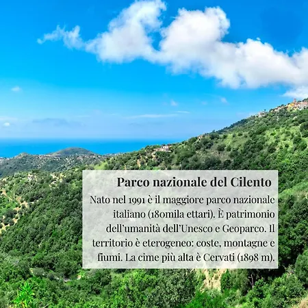 Homebiagino-scario Apartment